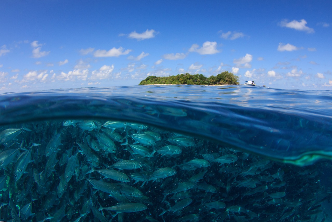 Sipadan Island