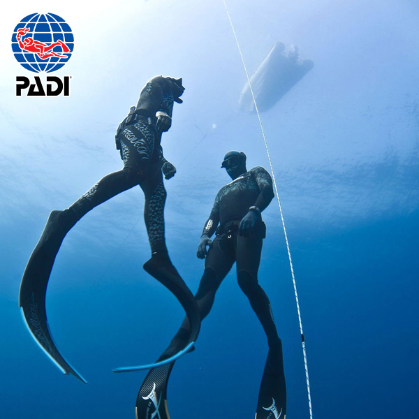 Free dive AIDA 1 + AIDA 2