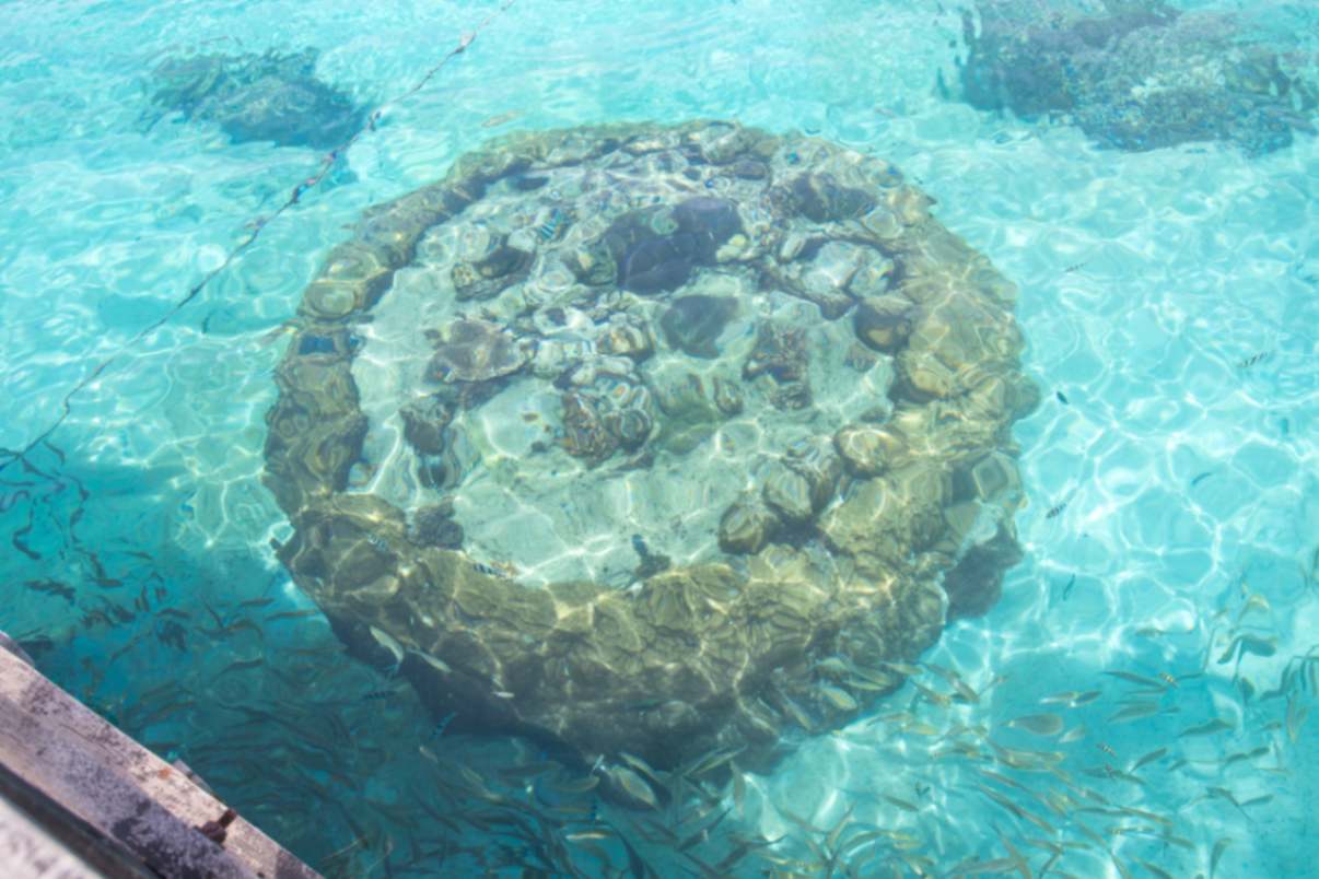 resort gallery main image