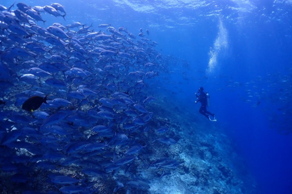 resort gallery tertiary image