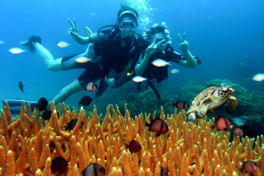 resort gallery main image