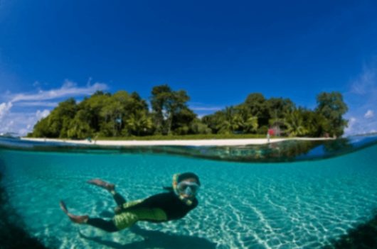 Sipadan Snorkeling Packages
