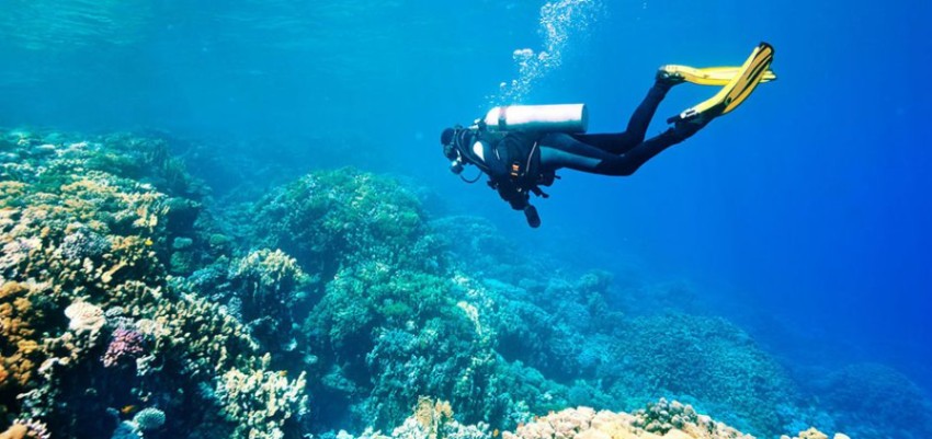 Diving Packages