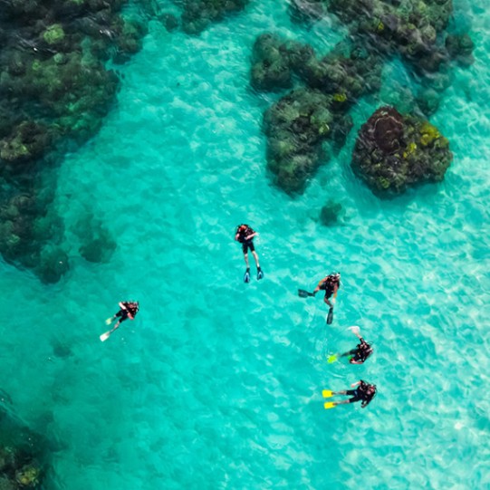 Sipadan Snorkelling