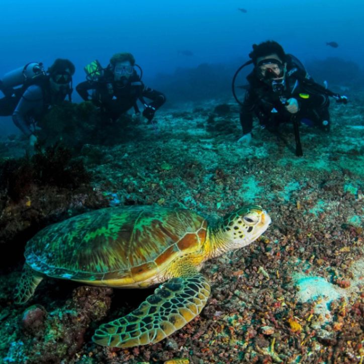Non-Sipadan Diving Packages