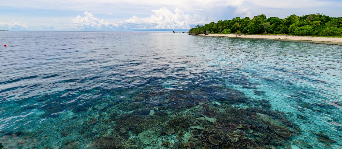 resort gallery tertiary image