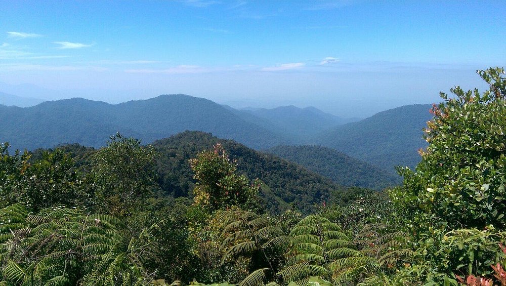 Raub