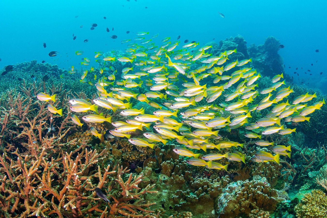 resort gallery main image