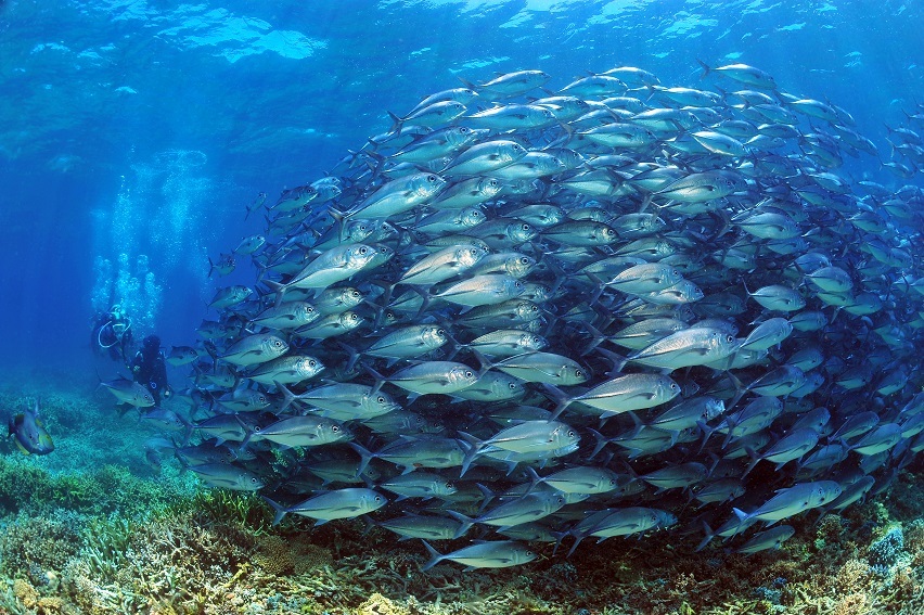 resort gallery secondary image