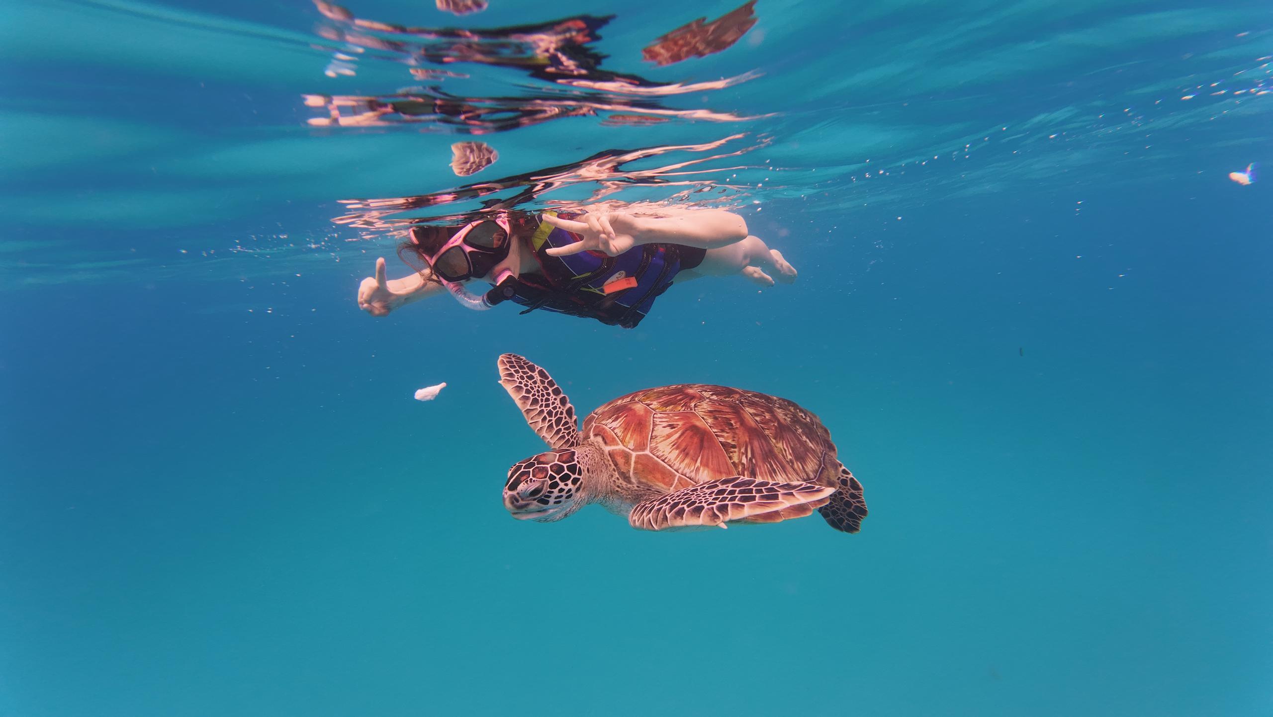 resort gallery main image