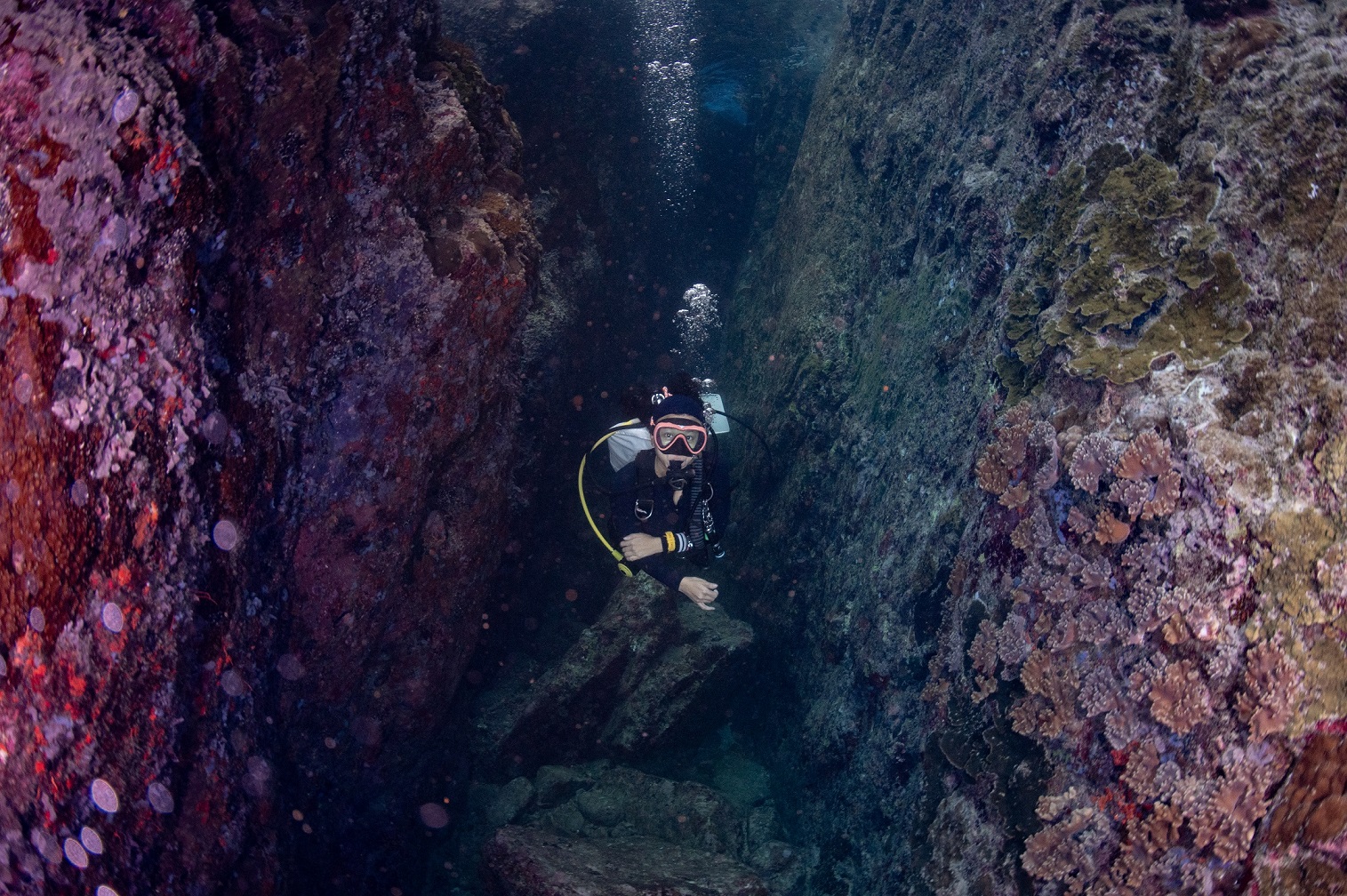 resort gallery tertiary image