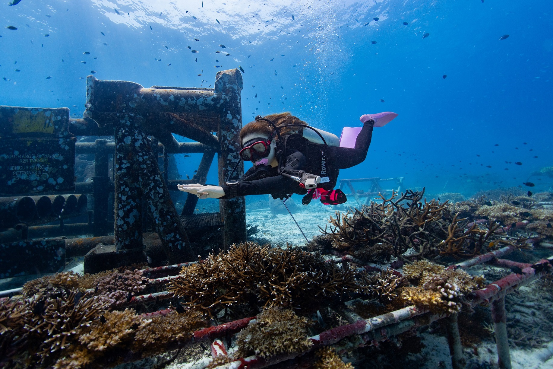 resort gallery main image