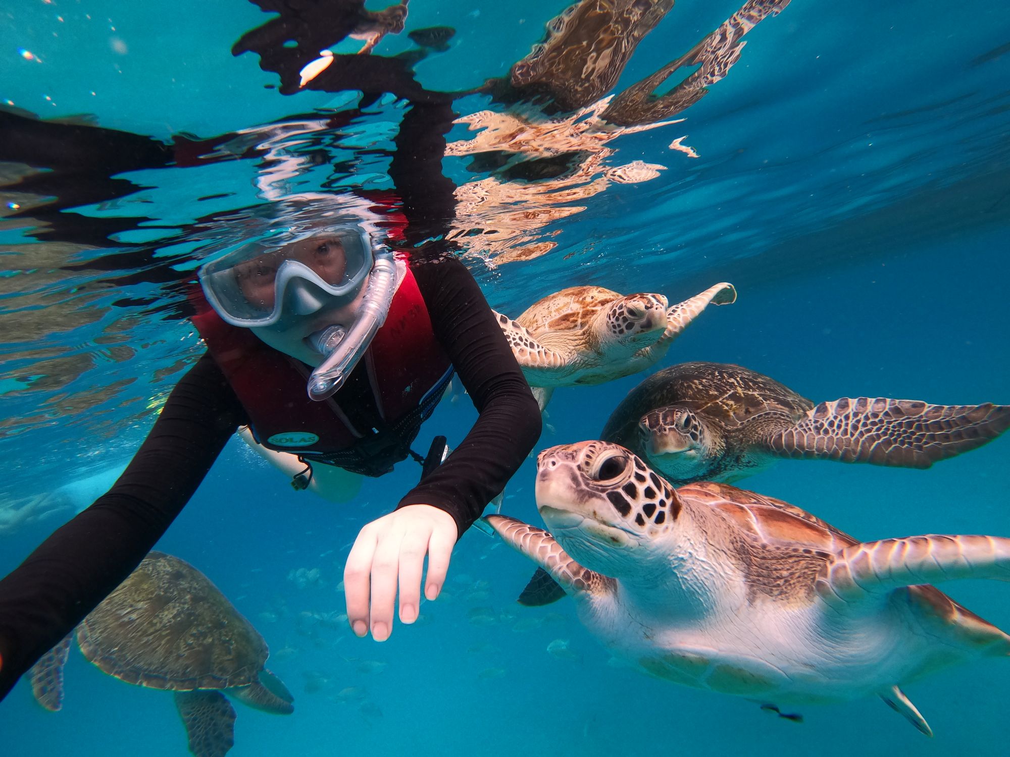 resort gallery tertiary image