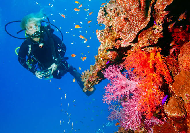 Siamil Discovery Scuba Diving