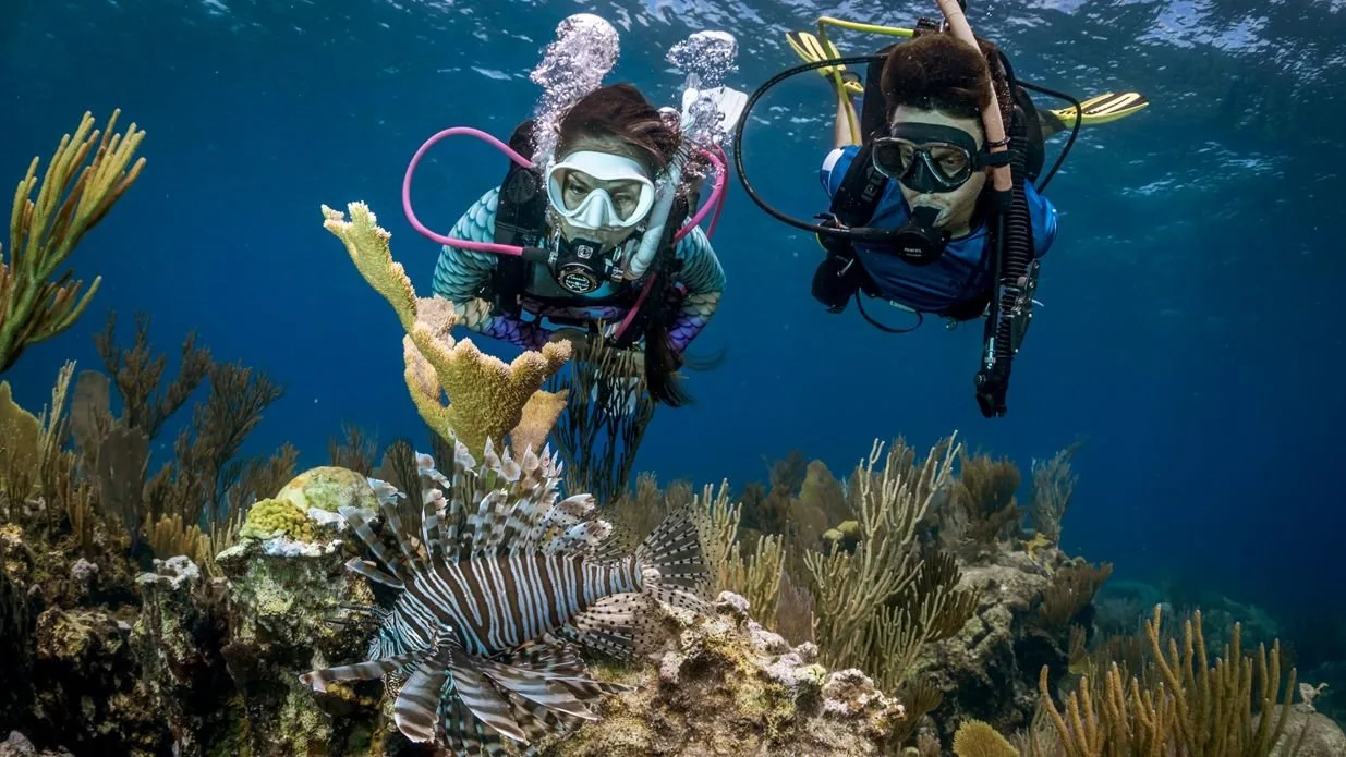 Mabul Diving