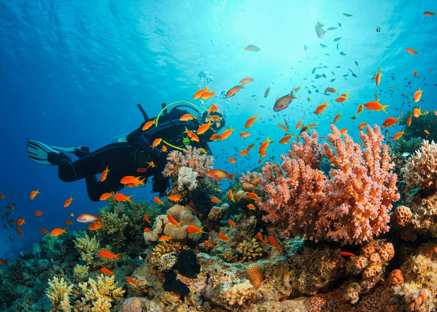 Mataking Discovery Scuba Diving