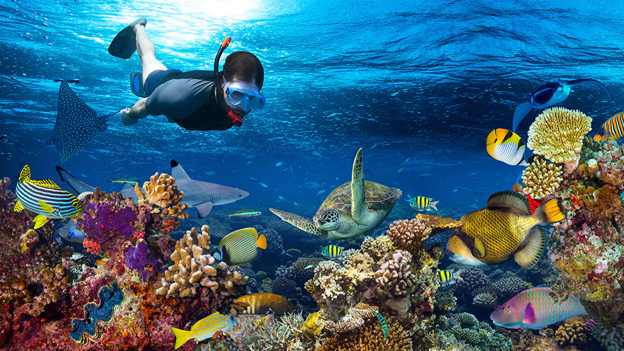 Siamil Diving