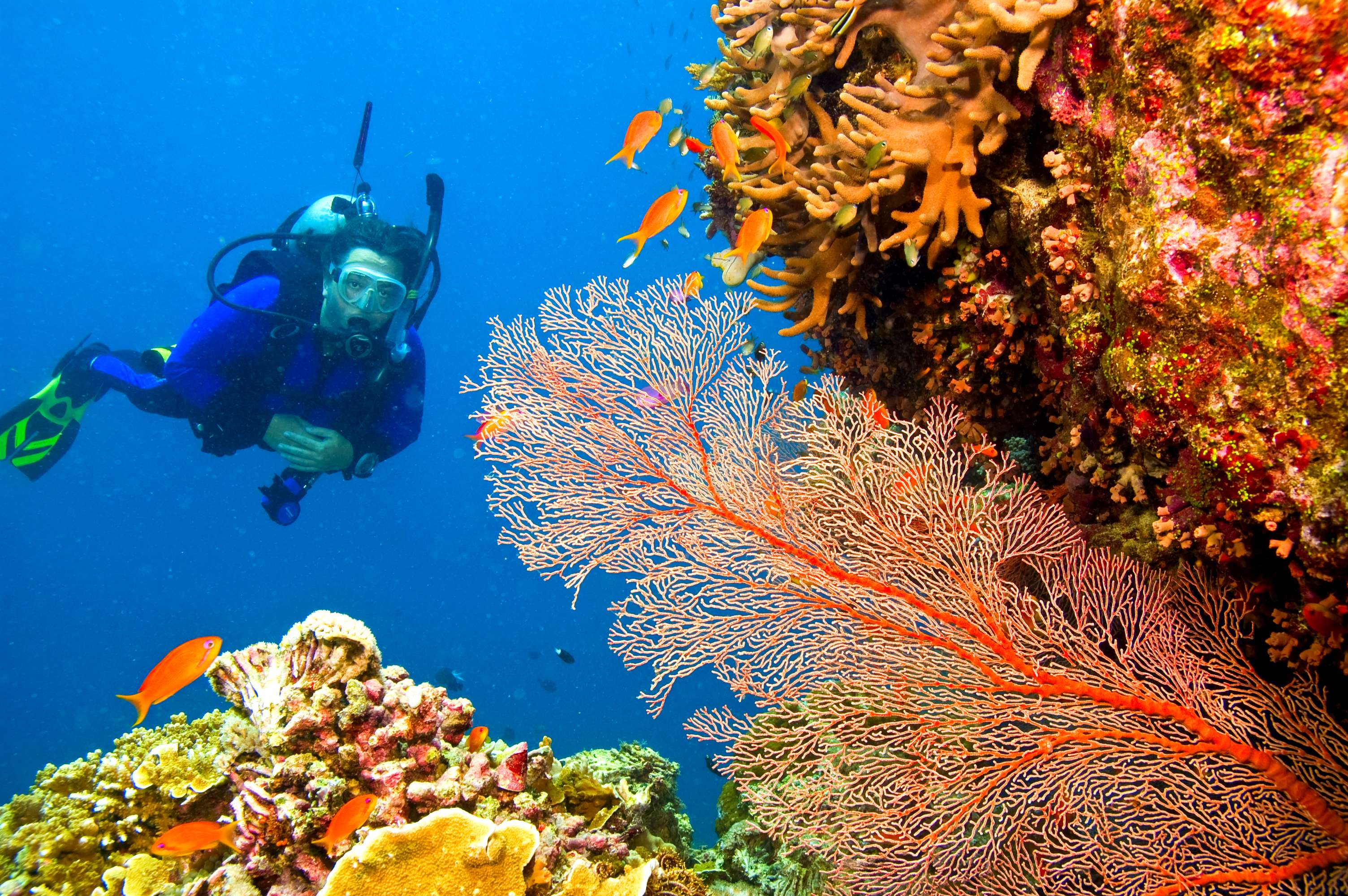 Mabul Discovery Scuba Diving
